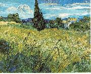 Green Wheat Field with Cypress Vincent Van Gogh